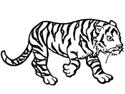 虎被称为百兽之王