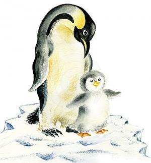 企鹅母亲