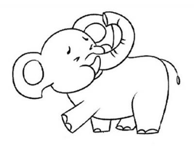 富有同情心的大象