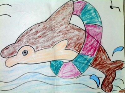 海豚在游泳