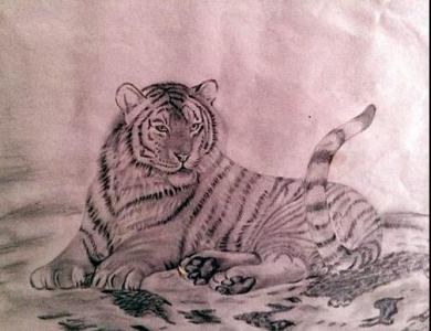 躺着的老虎,图片,儿童画教程-学笔画