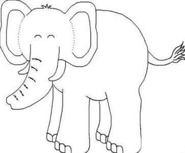 保护大象-给人类的一封信