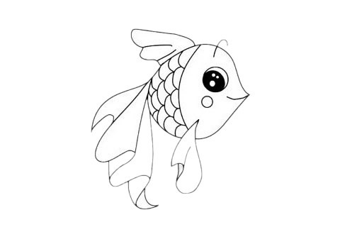 金鱼的简笔画 鱼虫图片