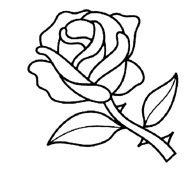 带刺的玫瑰简笔画图片
