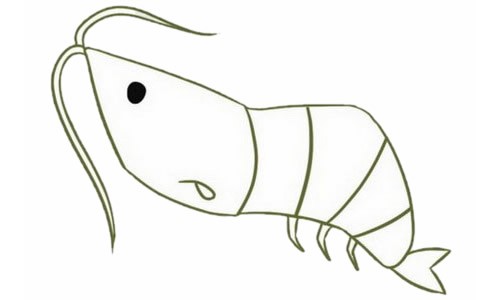 虾的简笔画法简单图片