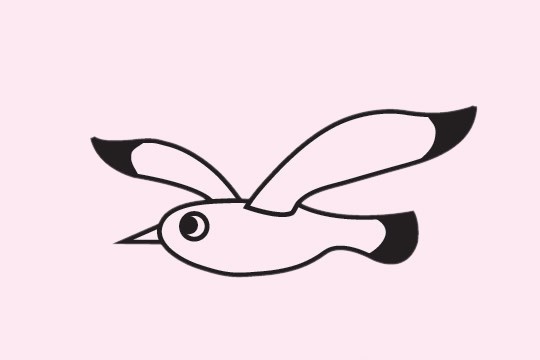 海鸥爪子简笔画图片