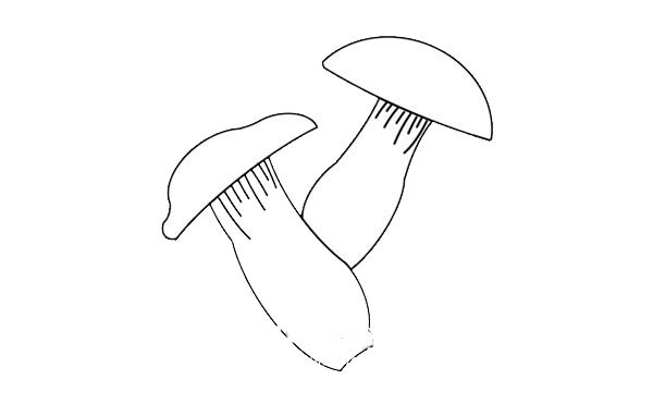 菌菇简笔画图片