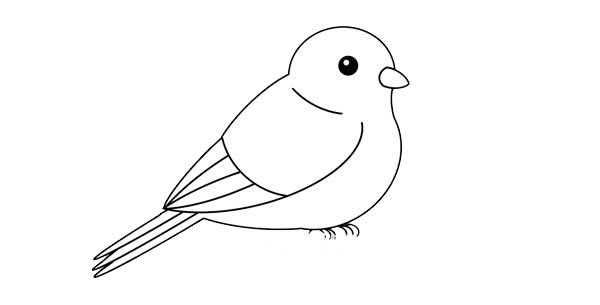 鸟类进化图简笔画图片