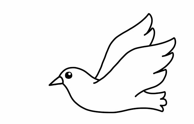简单画鸽子的教程图片