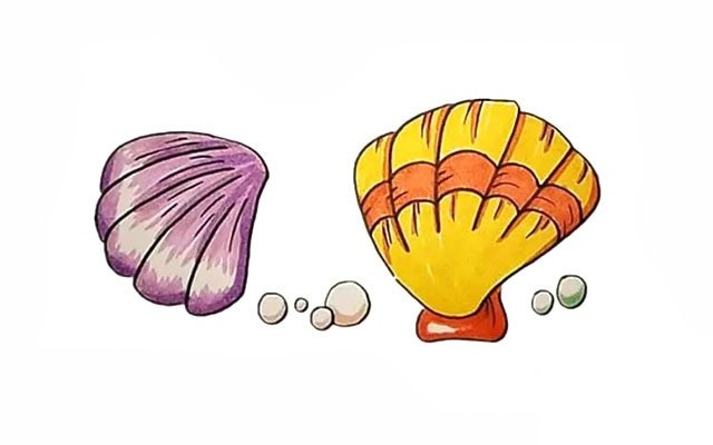 彩色贝壳怎么画学画贝壳简笔画步骤图解教程
