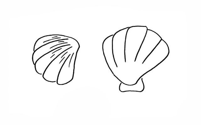 贝壳简笔画步骤图