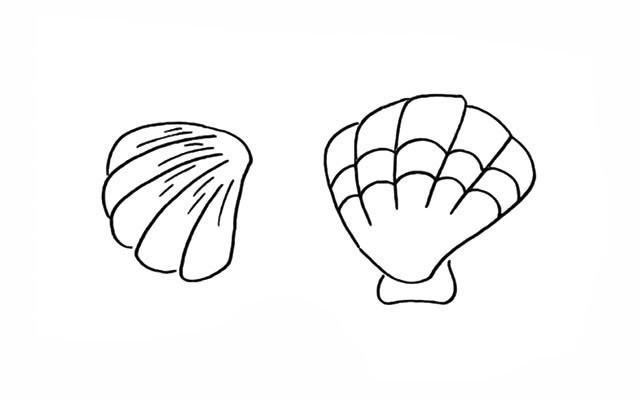 贝壳简笔画步骤图