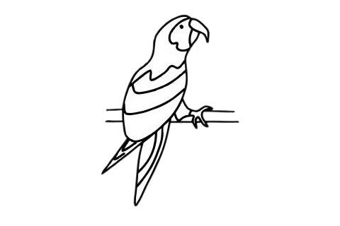 鸟的尾巴简笔画图片