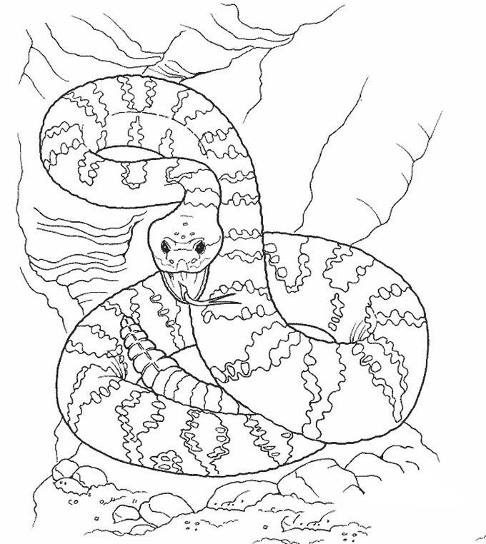 蛇简笔画可爱恐怖图片