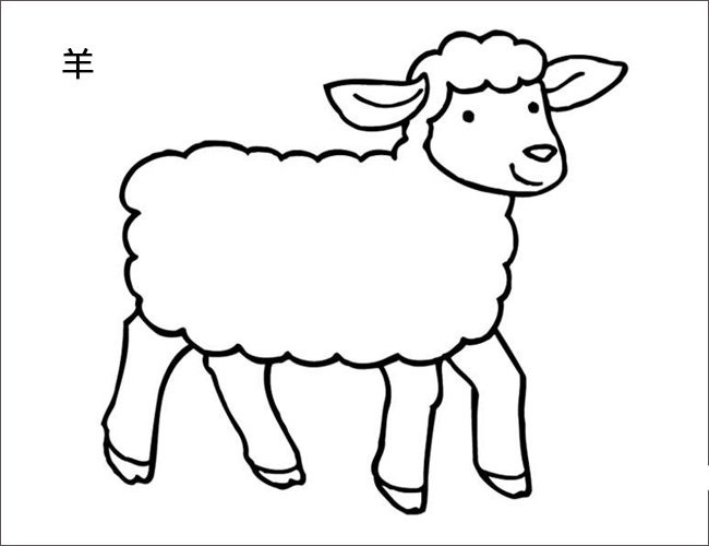 羊羔毛画法图片