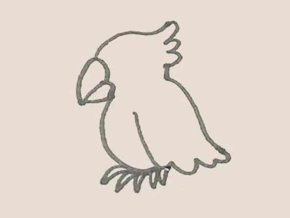 鹦鹉简笔画的画法步骤图