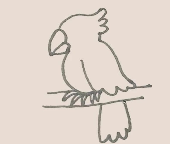鹦鹉简笔画的画法步骤图