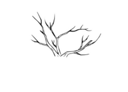 枯树的简笔画怎么画简单又漂亮