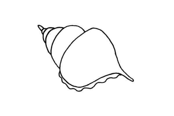 海螺贝壳简笔画步骤画法教程及图片大全