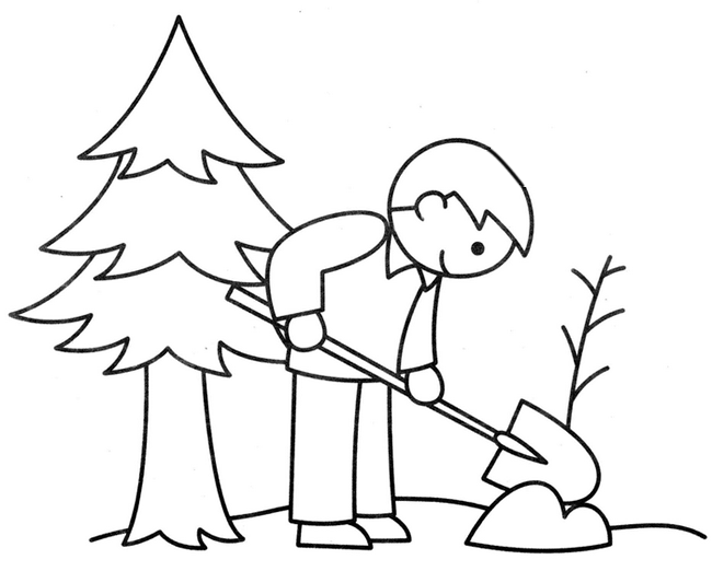 小朋友浇树的简笔画图片