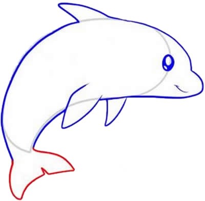 海豚怎么画简笔画简单又可爱