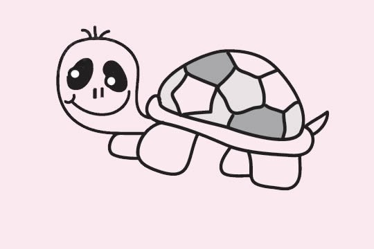 简单的乌龟简笔画画法步骤教程及图片大全