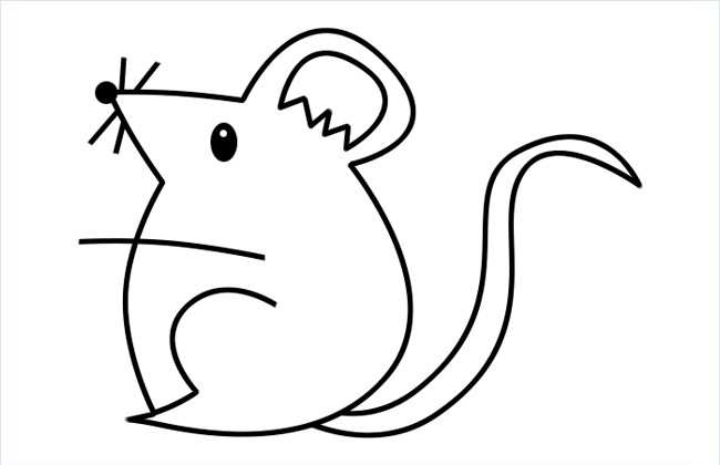 老鼠图片真实 简笔画图片
