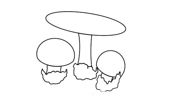 17种常见毒蘑菇简笔画图片