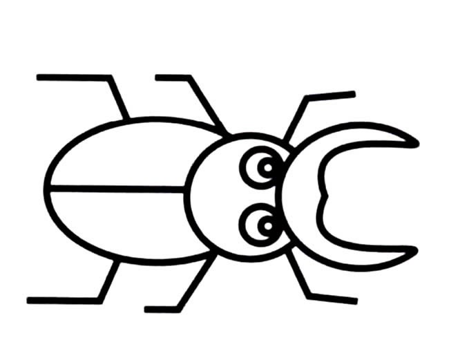 三年级昆虫简笔画图片