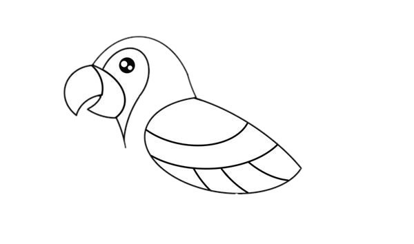 鹦鹉简笔画彩色画法步骤图片