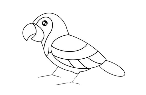 鹦鹉简笔画彩色画法步骤图片