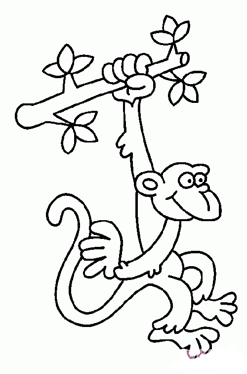 猴子简笔画树枝图片