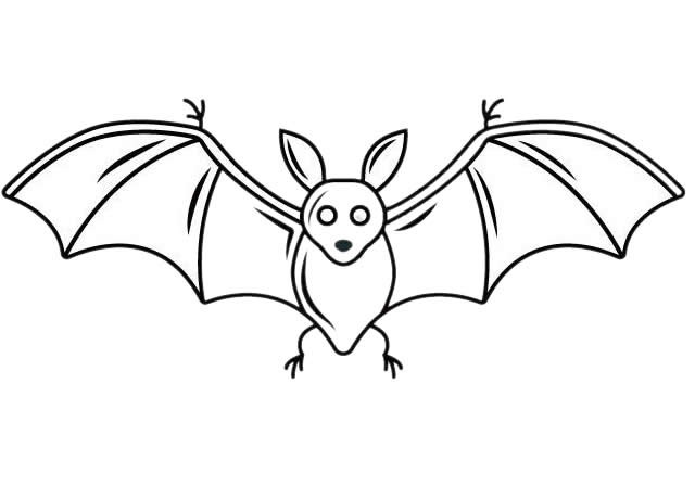 恐怖蝙蝠的画法图片