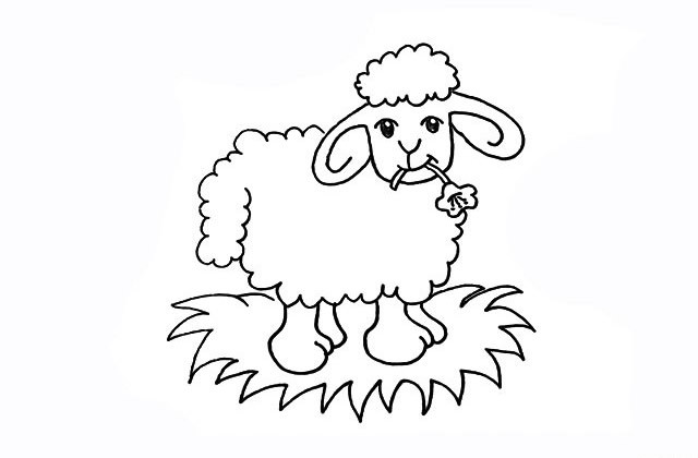 学画小绵羊简笔画步骤图解教程