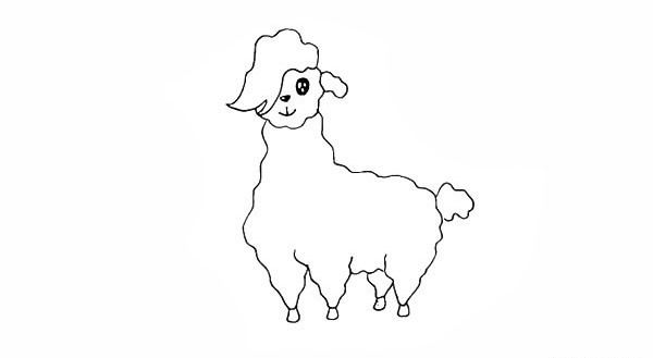 羊驼简笔画步骤图