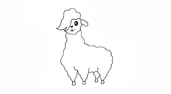 羊驼简笔画步骤图