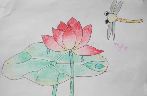 蜻蜓和荷花儿童画/蜡笔画图片
