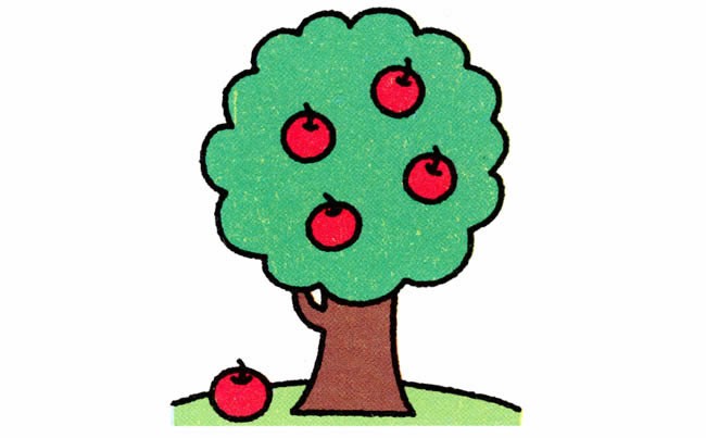苹果树植物简笔画步骤图片大全