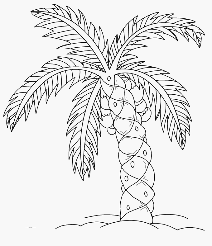 棕榈树线描画图片