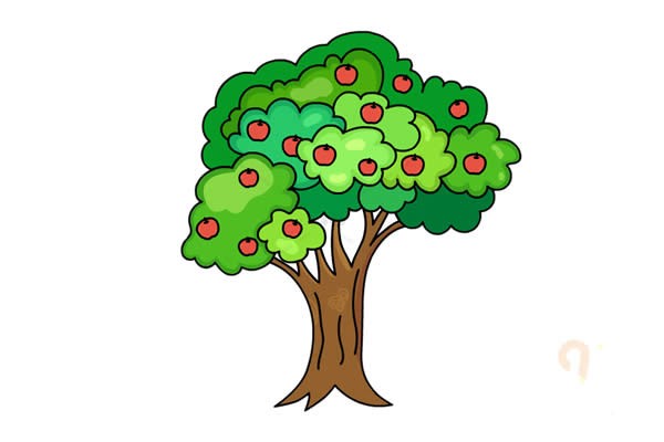 苹果树怎么画简单好看，苹果树简笔画画法步骤图片