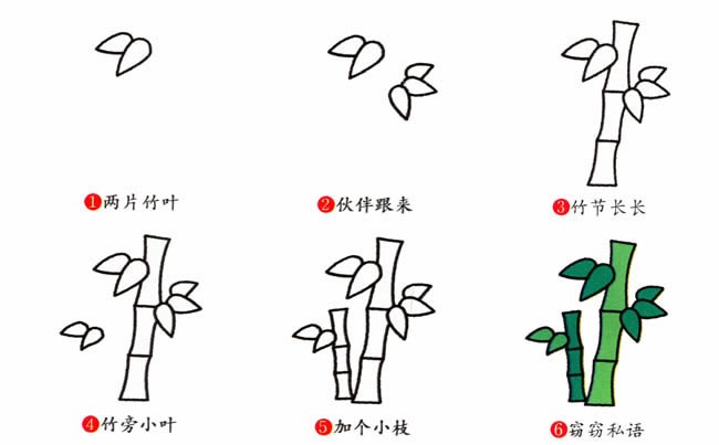 竹子植物简笔画步骤图片大全