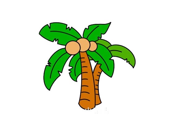 椰子树简笔画画法步骤图片