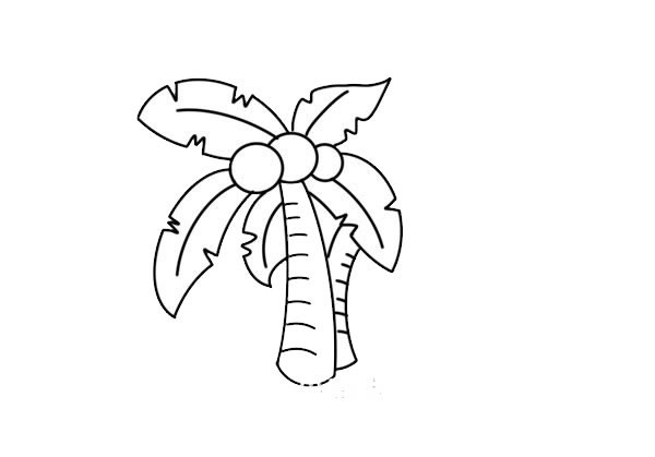 椰子树简笔画画法步骤图片
