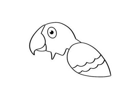 鹦鹉简笔画怎么画简单又漂亮