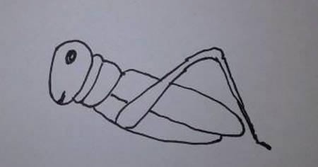蝗虫简笔画的画法 蝗虫怎么画简单又好画