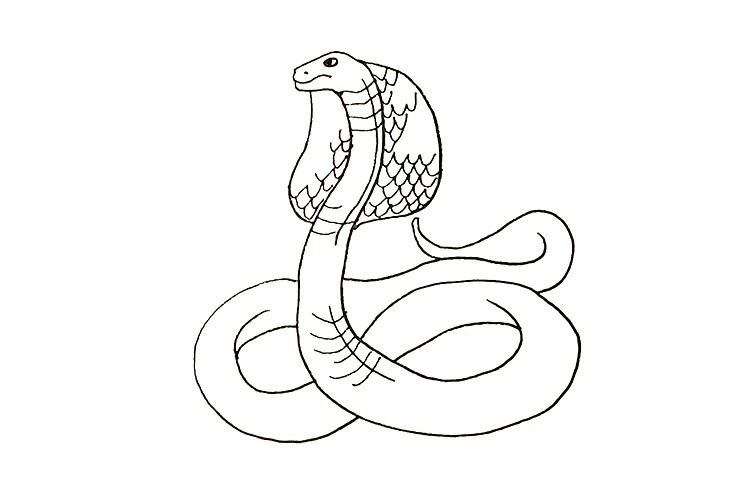怎么画蛇可怕又简单图片