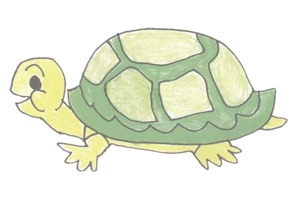 乌龟简笔画图片
