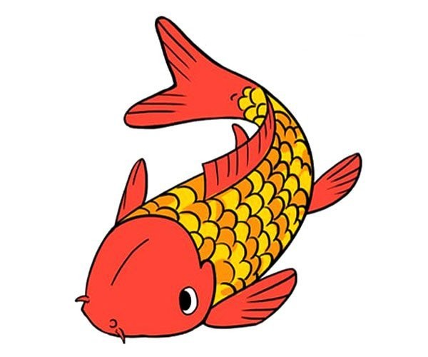 红鲤鱼怎么画简笔画图片