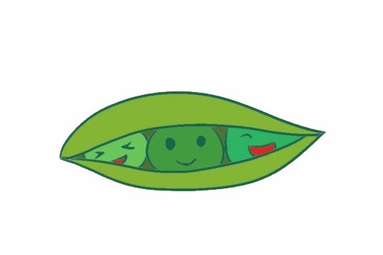豌豆简笔画图片