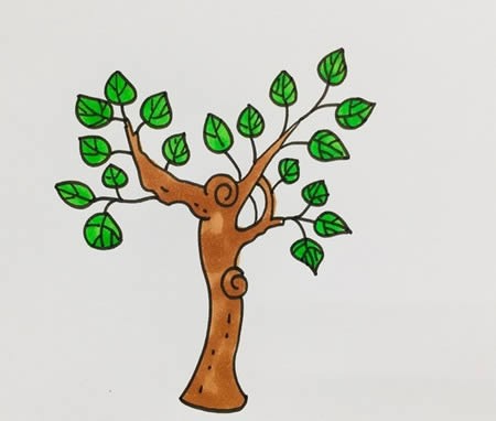 桑树怎么画简单又漂亮-桑树简笔画步骤图
